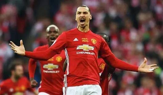 情感纽带的 情感纽带的